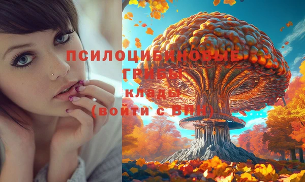 амф Арсеньев