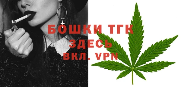мяу мяу кристалл Переславль-Залесский