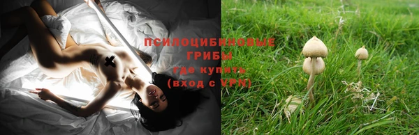 бошки Аркадак