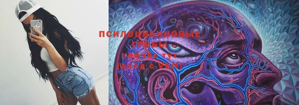 бошки Аркадак