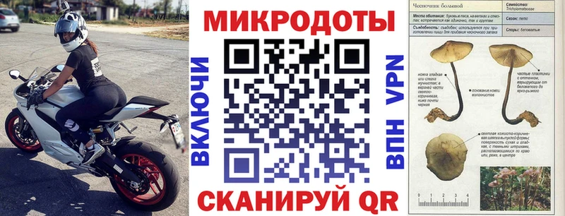 Галлюциногенные грибы Cubensis  Меленки 